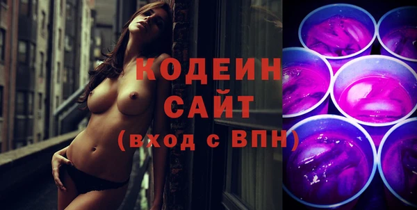 молекула духа Алексин